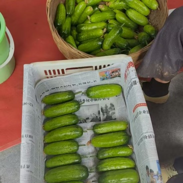 水果黄瓜