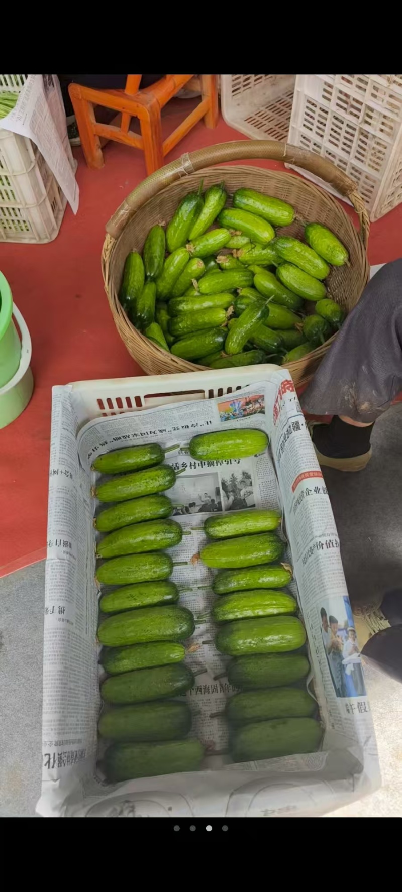 水果黄瓜