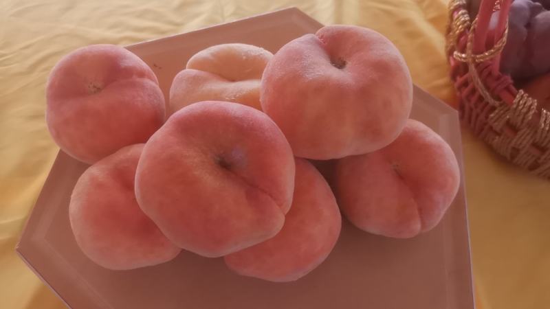 宜阳县上观乡鲜蟠桃