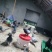 江西散养五谷杂粮土鸽