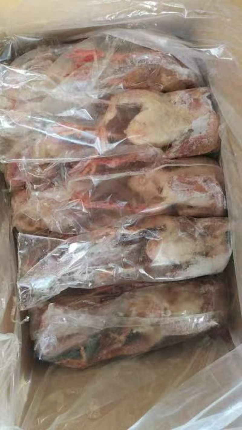 二级鸽子有几千只，现货全新冷冻批发价格优惠