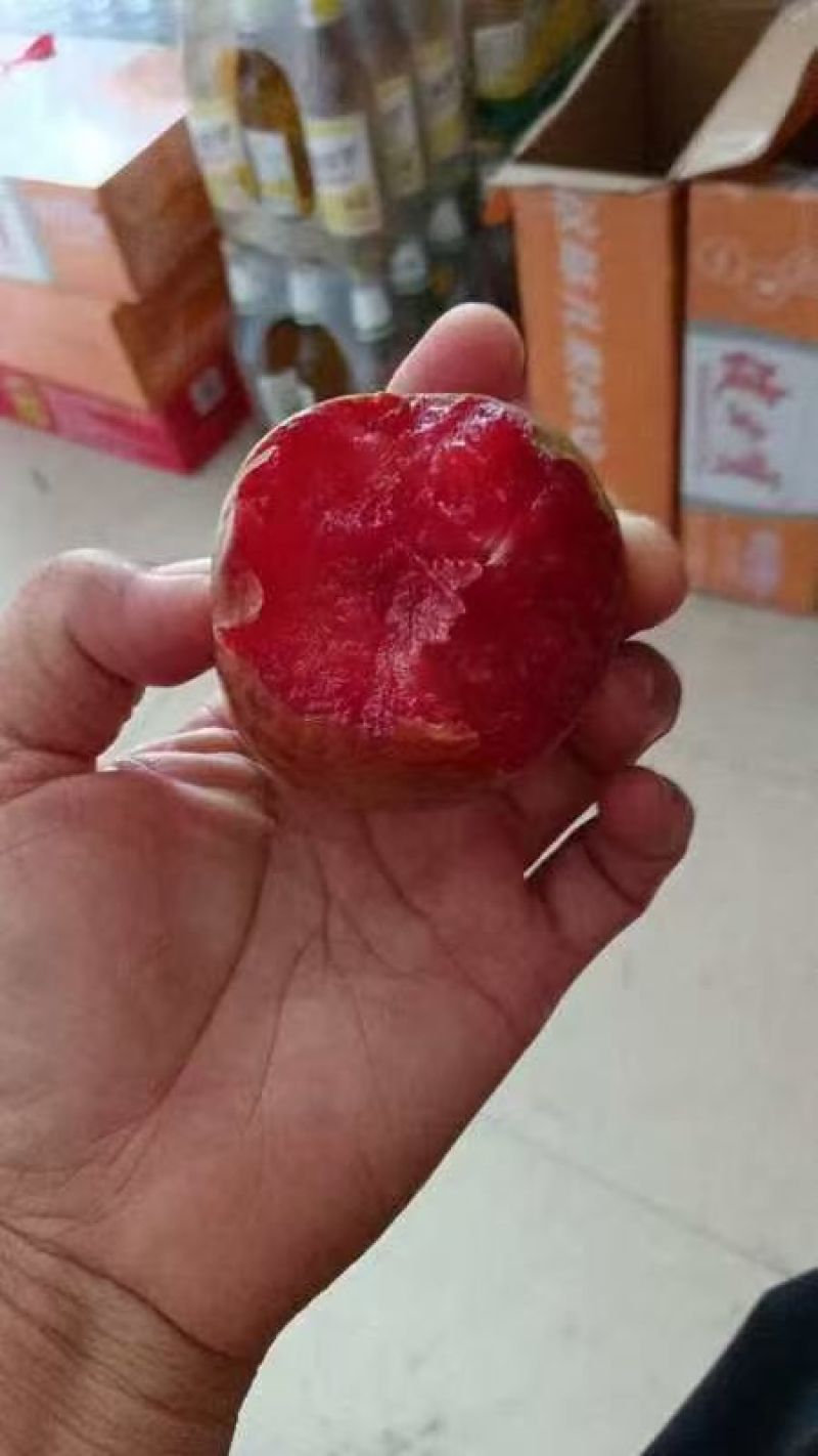李子恐龙蛋