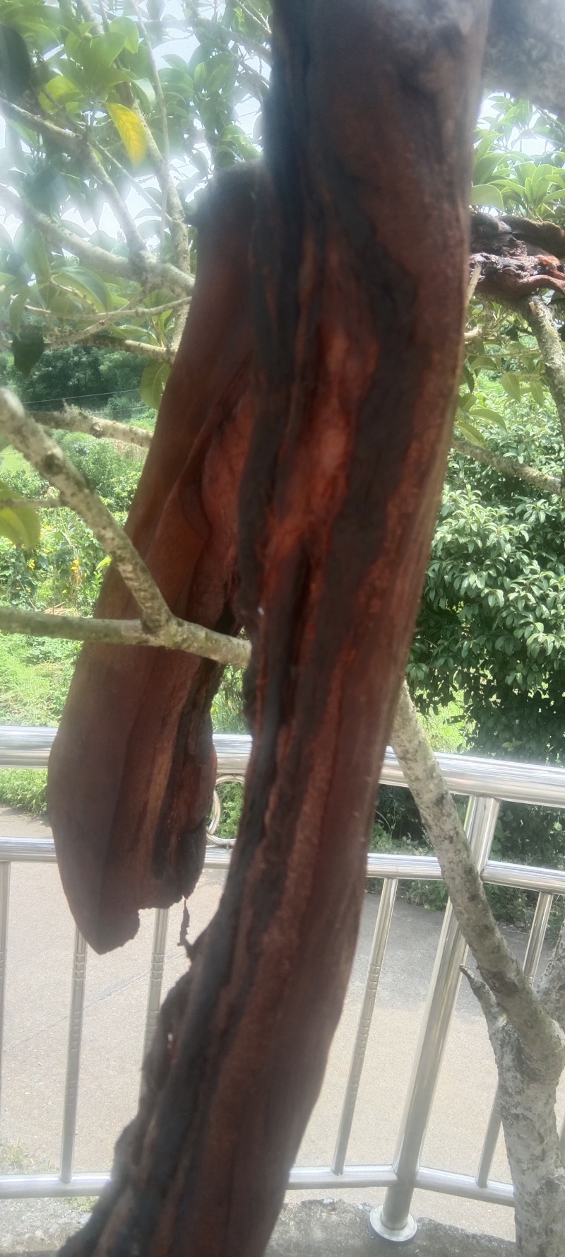 精品五花腊肉大量供应自产自销，一手货源，量大从优