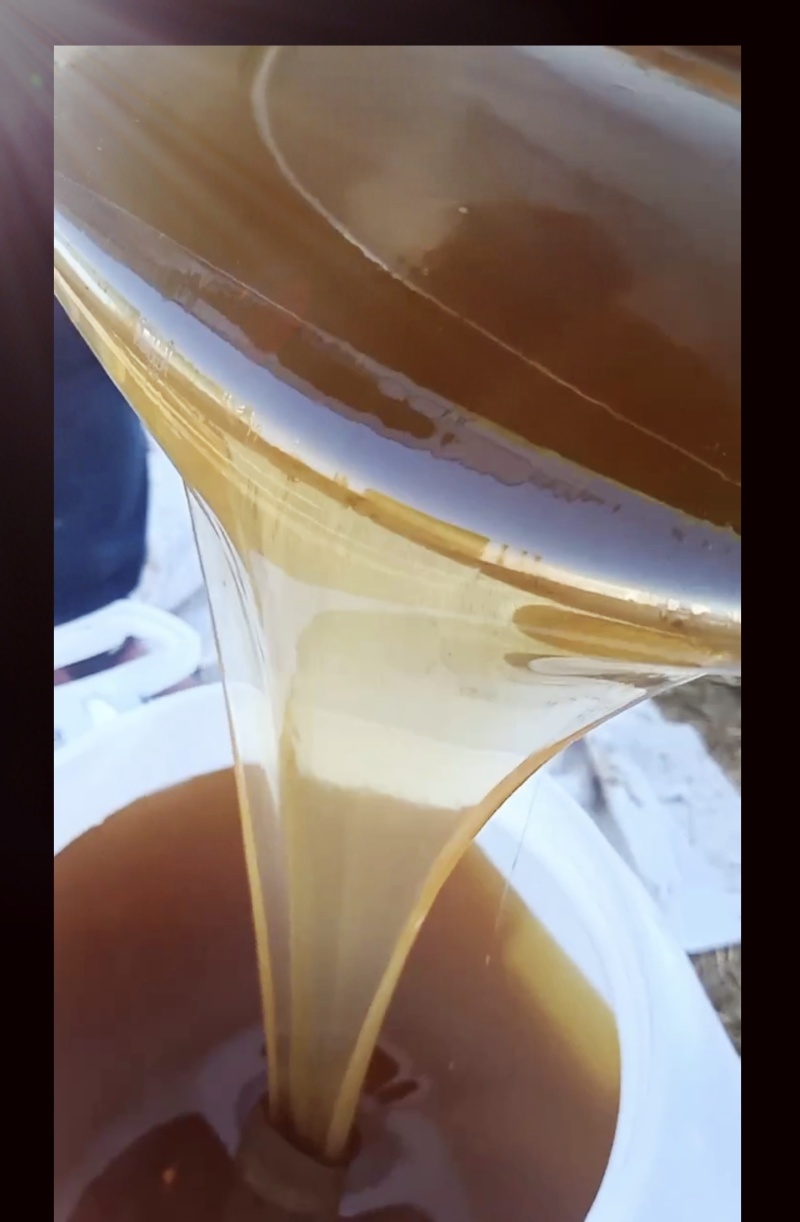 纯蜂蜜