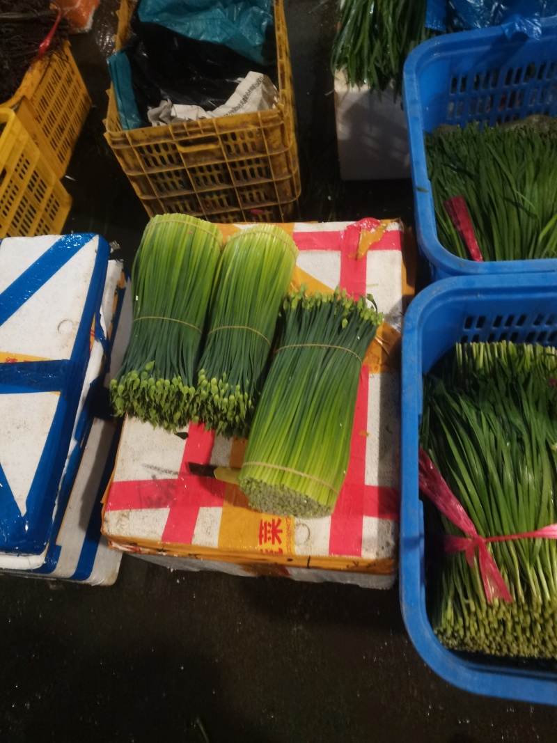 桂林韭菜苦