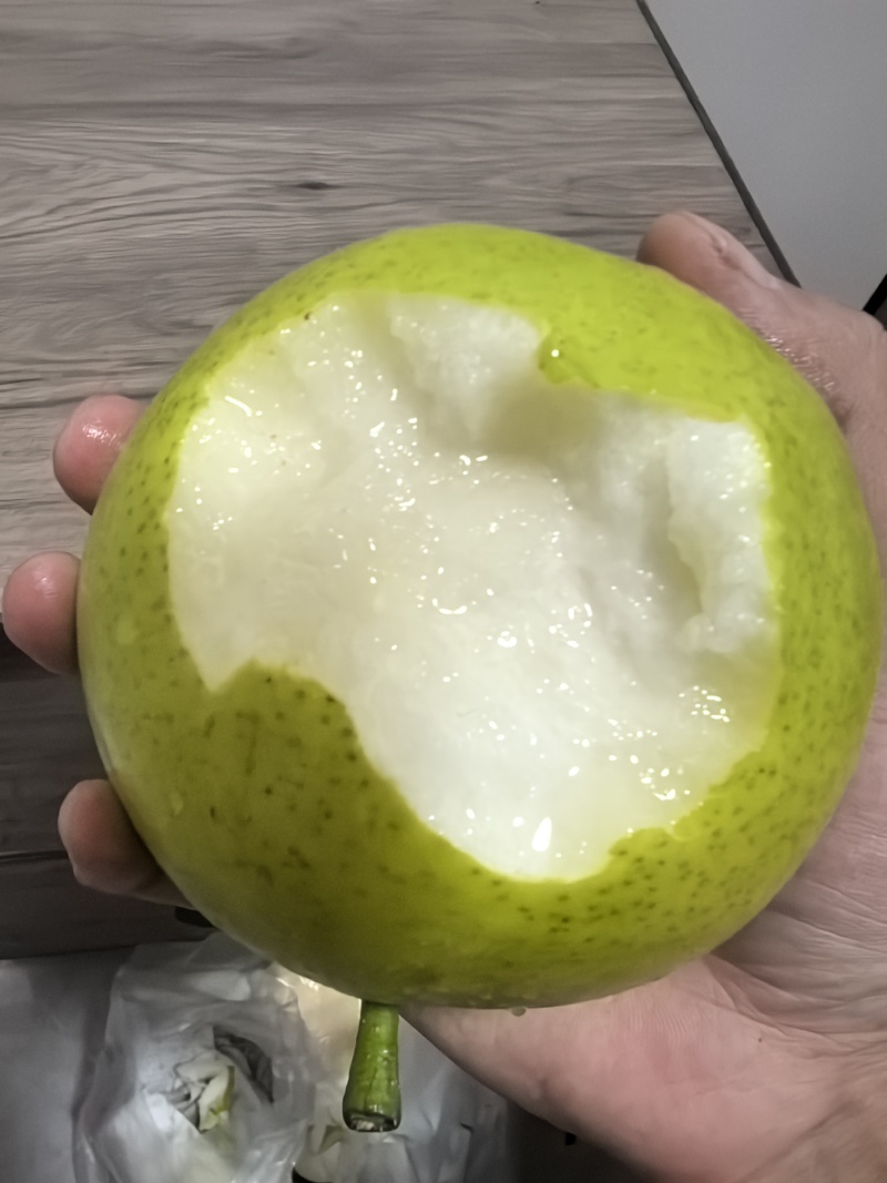 砀山精品青皮皇冠梨