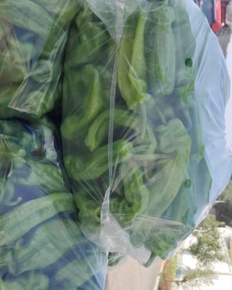 大量苏椒出售需要的老板联系