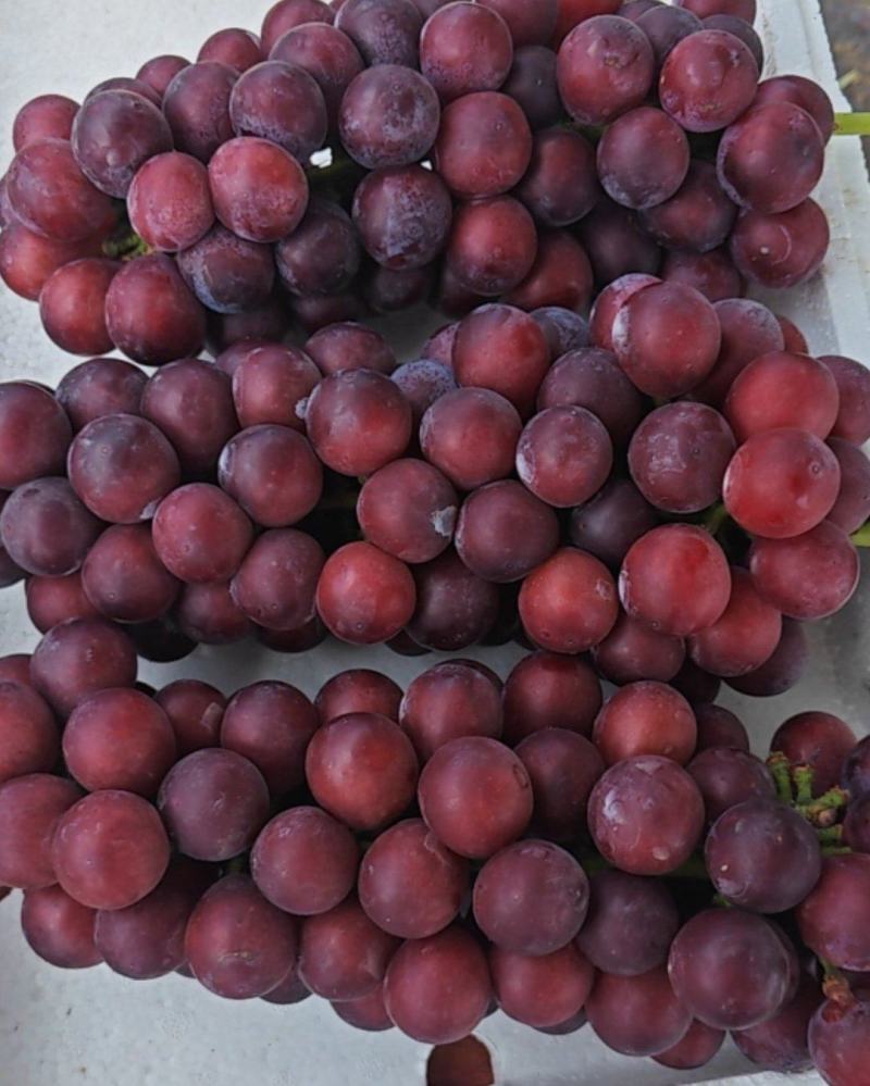 夏黑葡萄