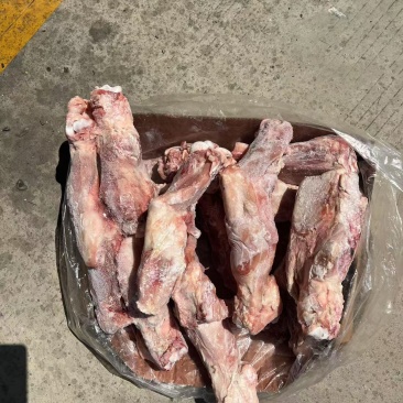 后腿骨肥猪