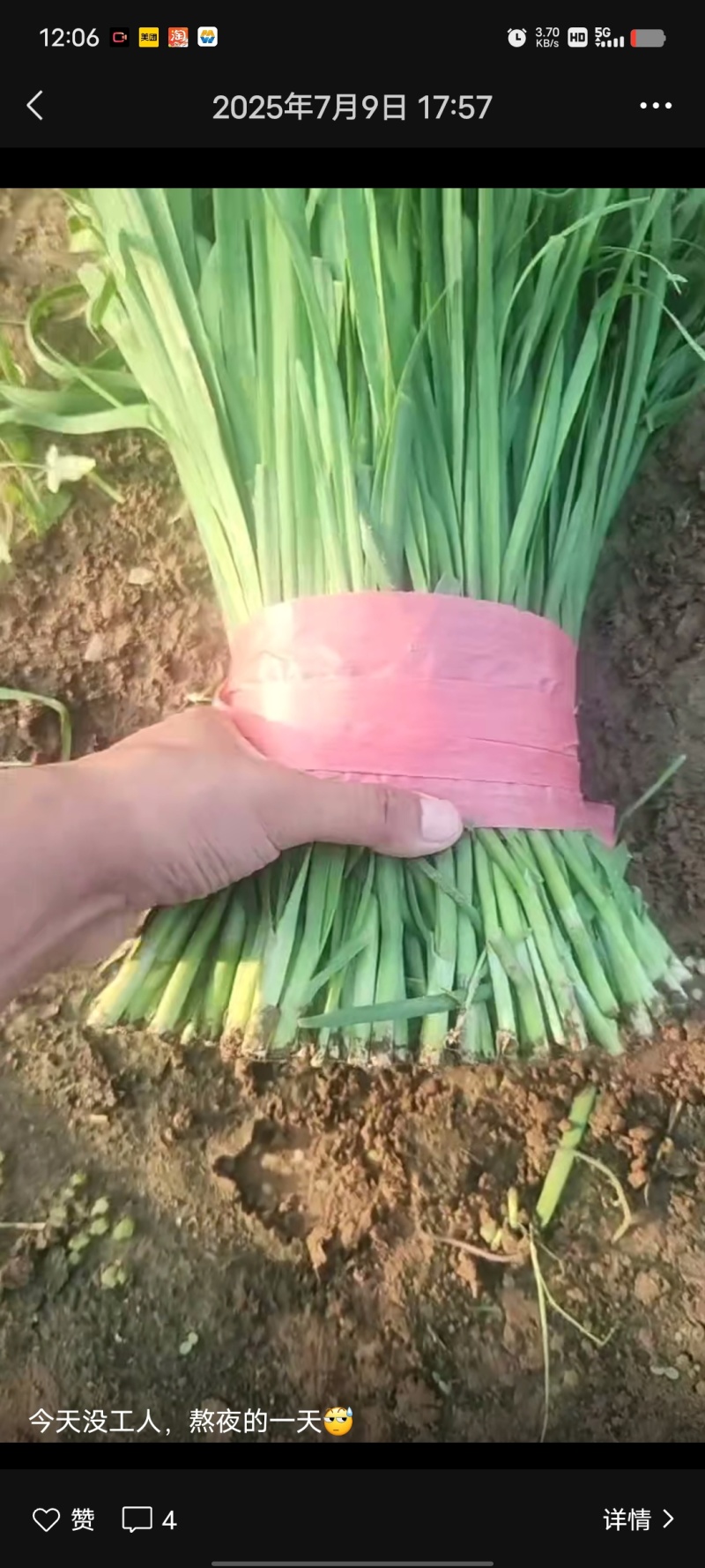 韭菜