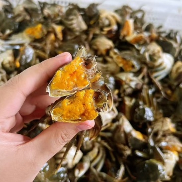 等装车货🦀山东的商友记得查收
