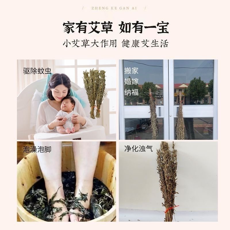 2025年艾草整颗带杆月子泡脚泡澡野生艾草驱蚊