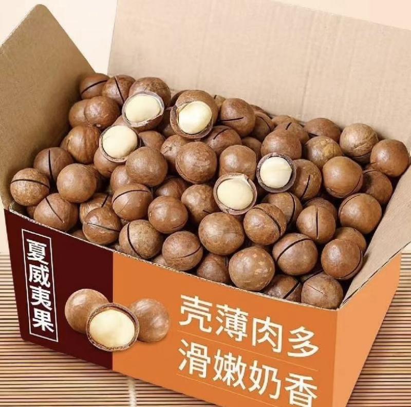 大量到货高品质夏威夷果手续齐全接代发电商货