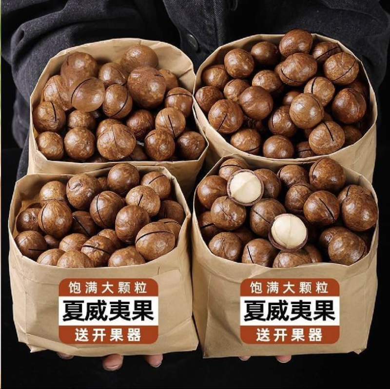 大量到货高品质夏威夷果手续齐全接代发电商货