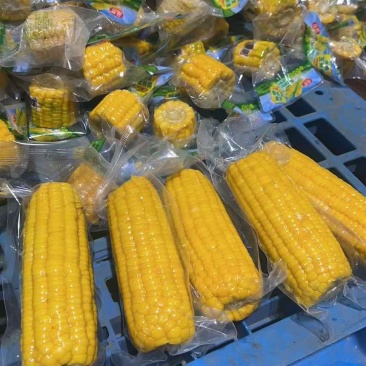 电商**太阳花水果玉米可一件代发量大优惠