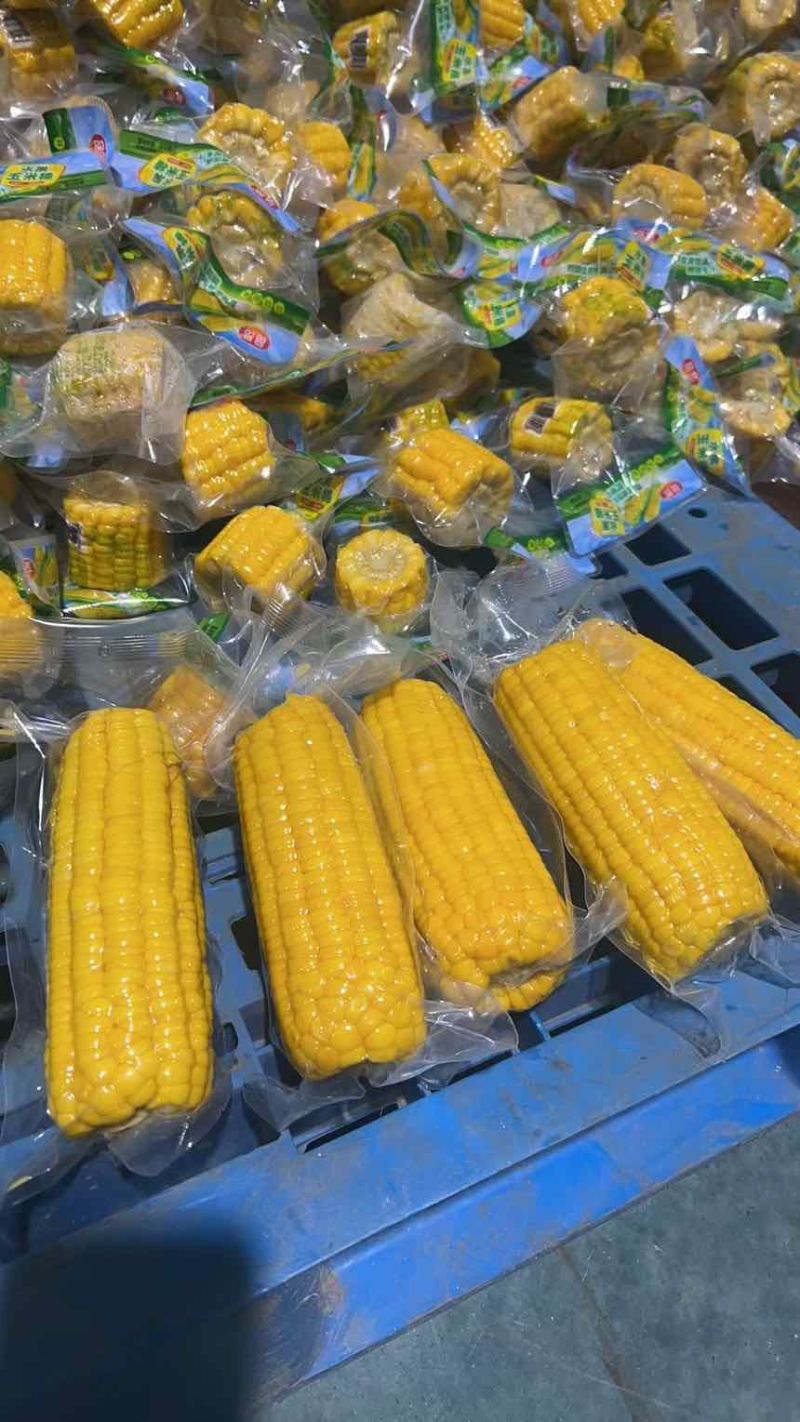 电商**太阳花水果玉米可一件代发量大优惠