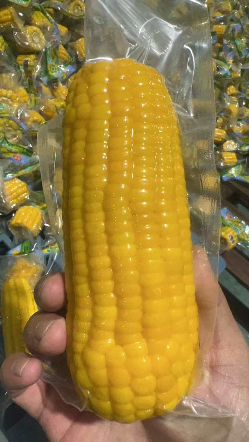 电商**太阳花水果玉米可一件代发量大优惠