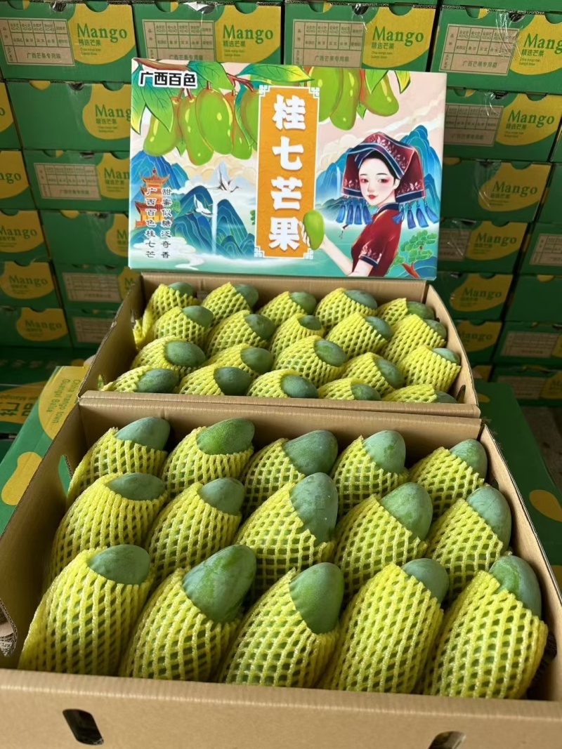 广西百色热带芒果🥭