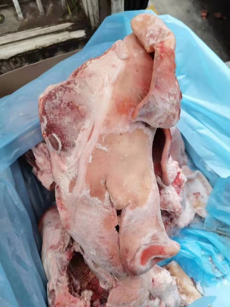 带耳生猪头