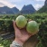 黄金百香果