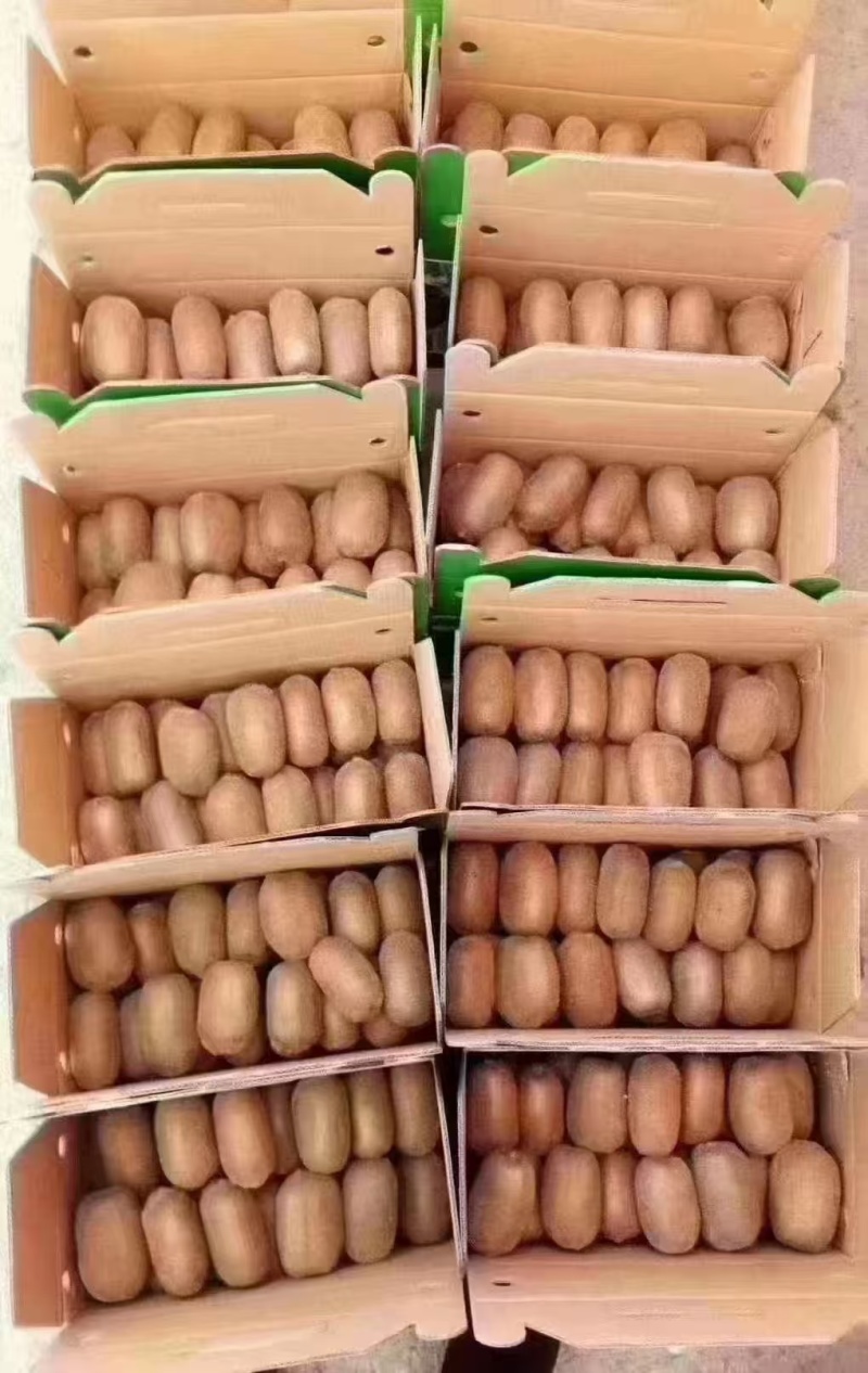统货60克起步，米良一号，贵长，需要的提前预定