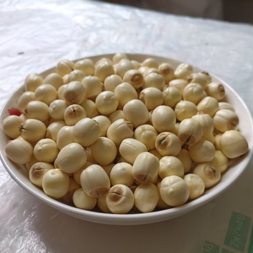 新鲜通芯白莲