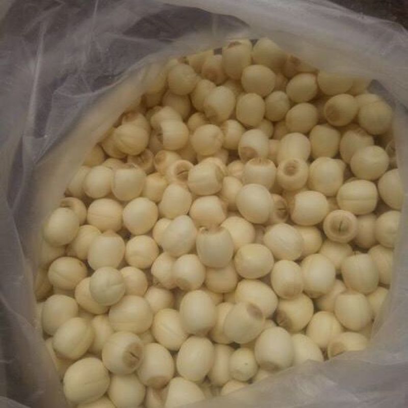 新鲜采摘，现剥现发的白肉鲜莲子