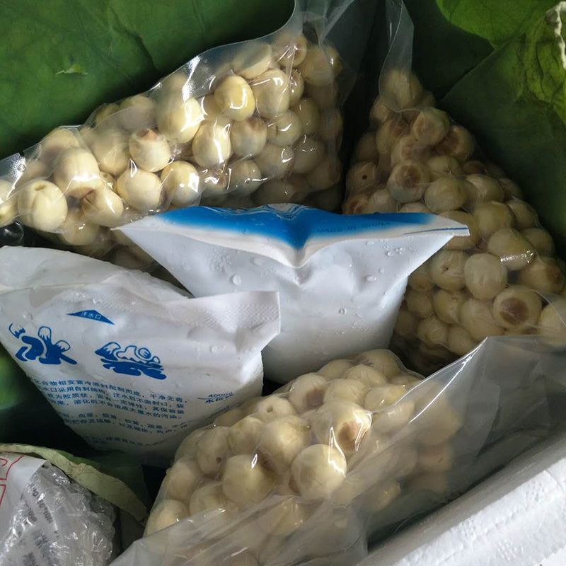 新鲜采摘，现剥现发的白肉鲜莲子