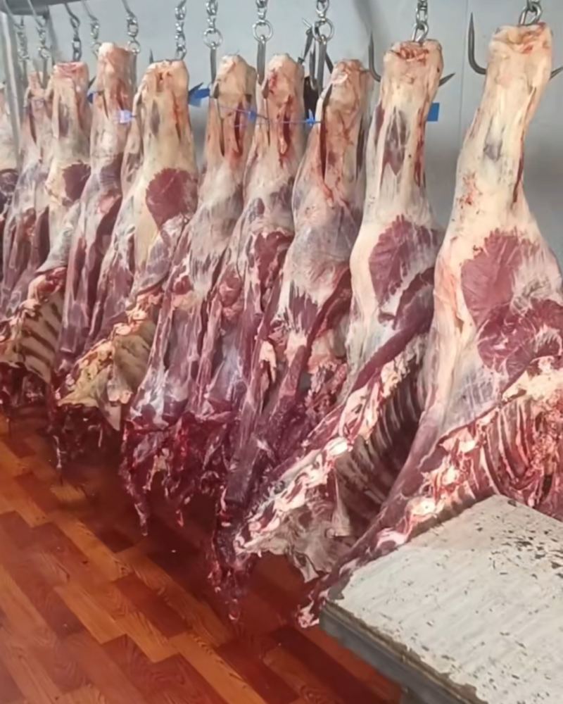 新疆现杀的鲜牛肉