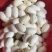 新鲜水律蛇蛋