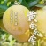 九峰山黄金奈李