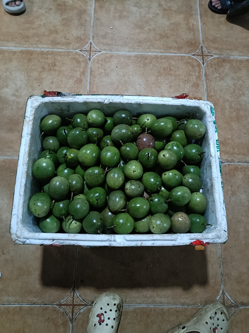 百香果