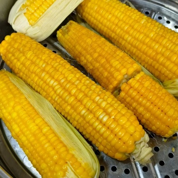 黄甜糯玉米