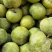 重庆巫山脆李大果