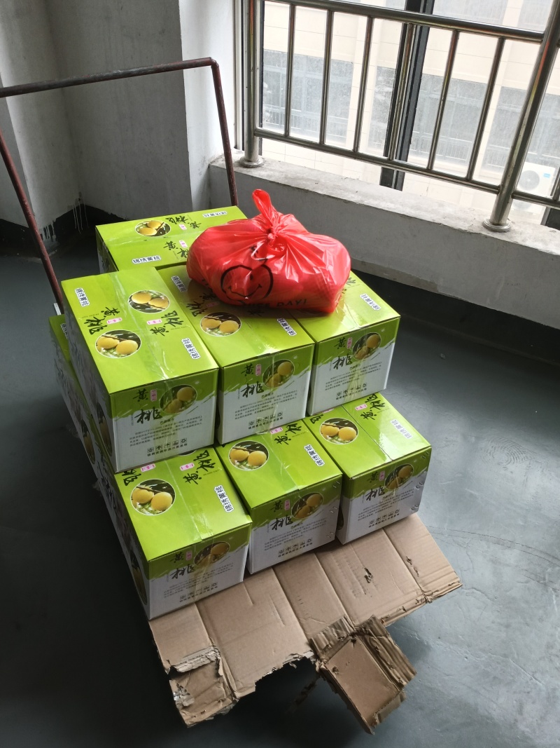锦绣黄桃