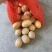 2-4两库房精选，大量稳定供货，欢迎咨询