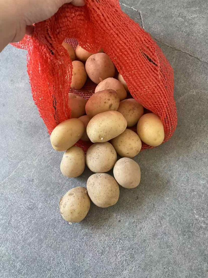 2-4两库房精选，大量稳定供货，欢迎咨询