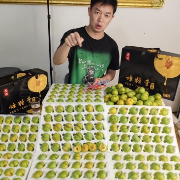 贵州黔西素朴蜂糖李千亩种植基地