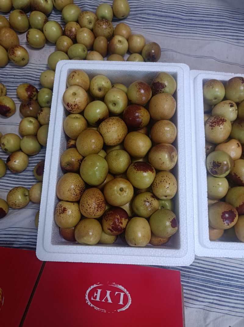 大荔冬枣，产地直发，多少都发