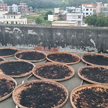 廉江豆豉