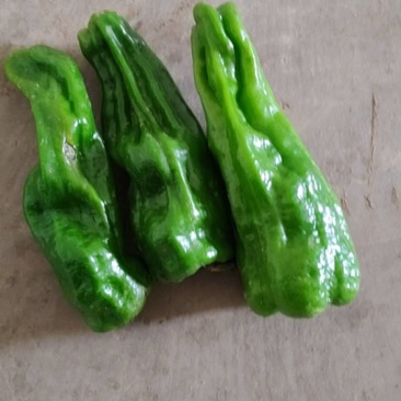 莱辣椒