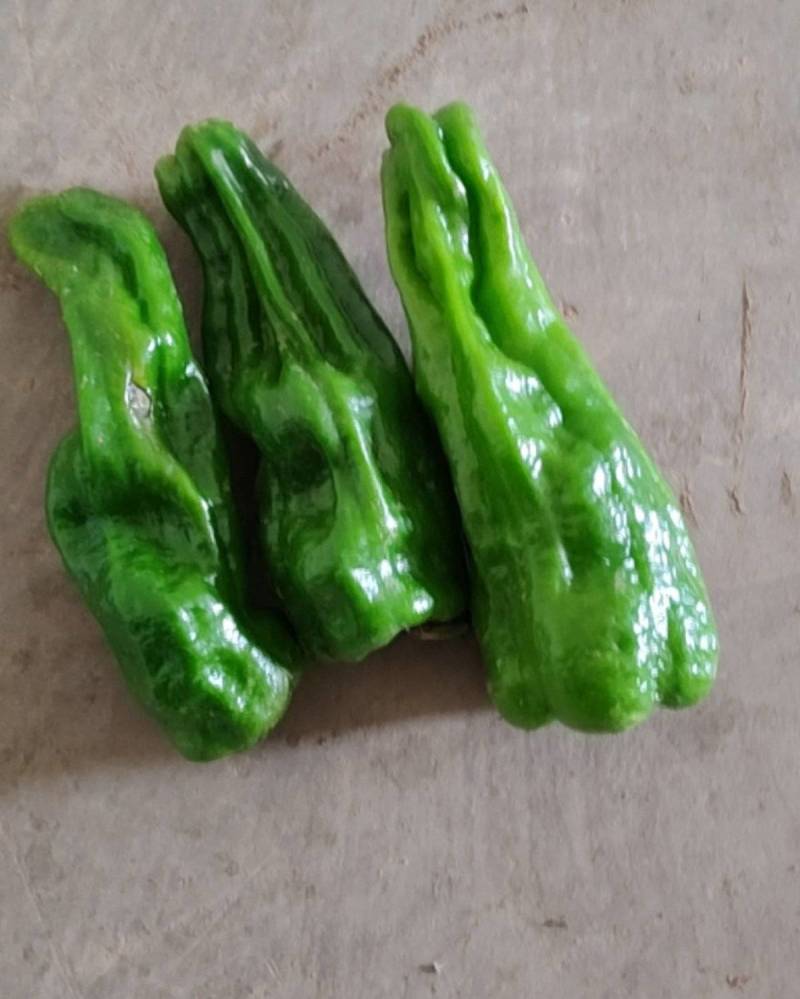 莱辣椒