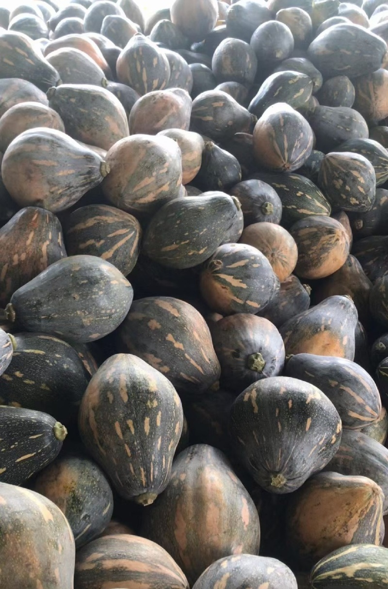 湖南怀化精品香芋南瓜，欢迎电话骚扰
