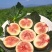 昆明東川無花果產地代發