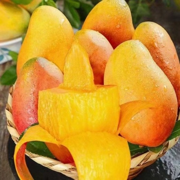 百色芒果