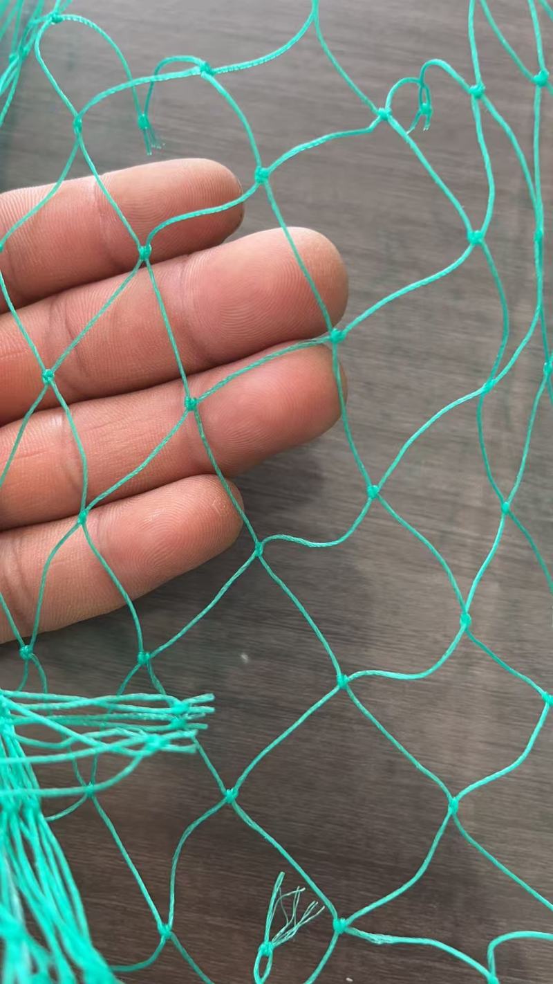 防鸟网