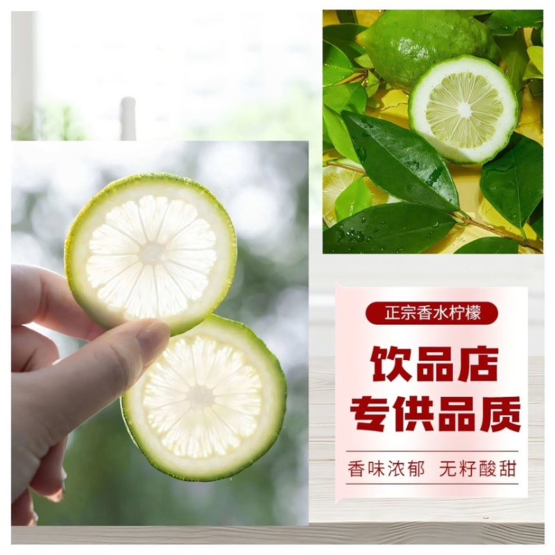 广东香水柠檬新鲜采摘奶茶店**