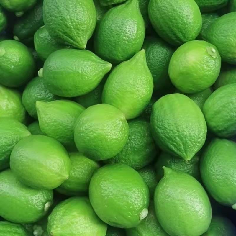 广东香水柠檬新鲜采摘奶茶店**