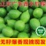 广东香水柠檬新鲜采摘奶茶店**