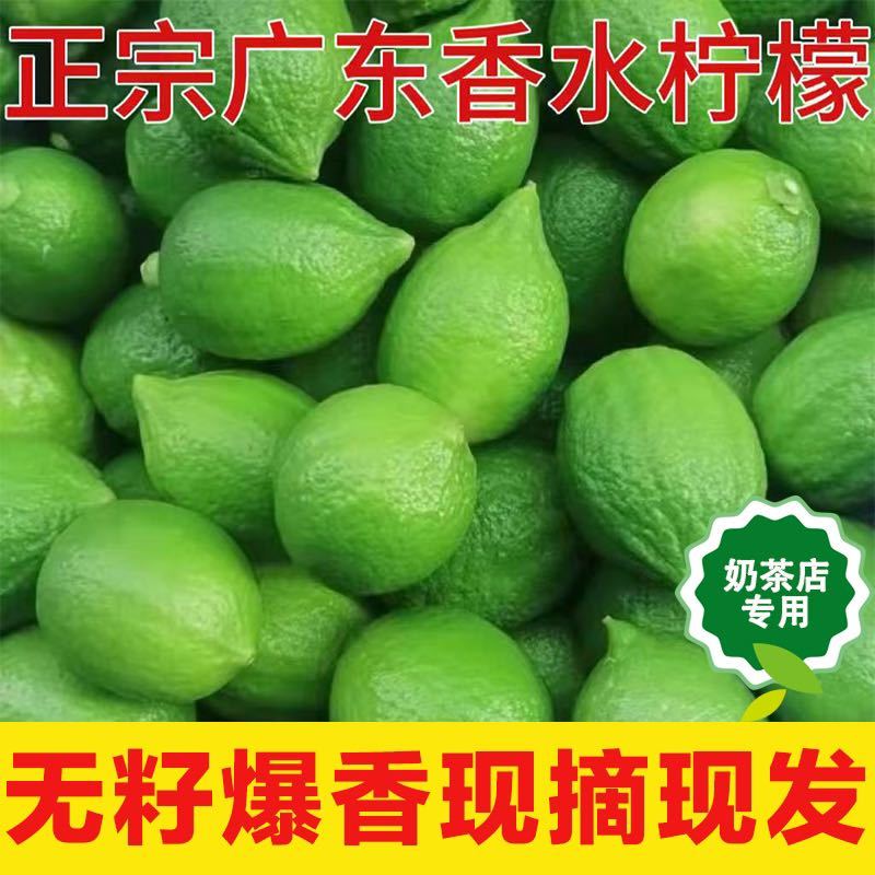 广东香水柠檬新鲜采摘奶茶店**